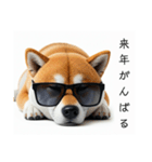 ぐでだる柴犬⭐年始(再販)（個別スタンプ：40）