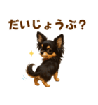 チワワ好きのためのかわいい日常（個別スタンプ：25）