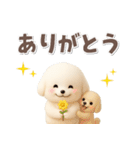 毎日使える★トイプードル【敬語・挨拶】（個別スタンプ：10）