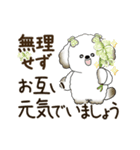 動く犬さん 2025 「丁寧な長文」（個別スタンプ：12）