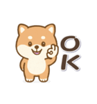 動くまる柴っちのスタンプ（個別スタンプ：1）