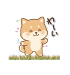 動くまる柴っちのスタンプ（個別スタンプ：4）