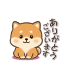 動くまる柴っちのスタンプ（個別スタンプ：9）