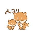 動くまる柴っちのスタンプ（個別スタンプ：10）