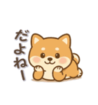 動くまる柴っちのスタンプ（個別スタンプ：12）