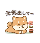 動くまる柴っちのスタンプ（個別スタンプ：13）