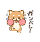動くまる柴っちのスタンプ（個別スタンプ：14）