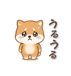 動くまる柴っちのスタンプ（個別スタンプ：18）