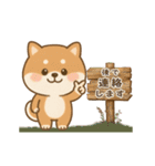 動くまる柴っちのスタンプ（個別スタンプ：22）