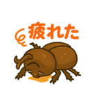 カブトムシの毎日使えるネガティブスタンプ（個別スタンプ：13）