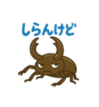 クワガタ虫の毎日使えるネガティブスタンプ（個別スタンプ：17）