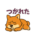 WILD柴犬の毎日使えるネガティブスタンプ（個別スタンプ：1）