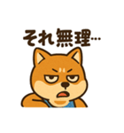 WILD柴犬の毎日使えるネガティブスタンプ（個別スタンプ：3）
