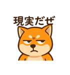 WILD柴犬の毎日使えるネガティブスタンプ（個別スタンプ：5）