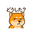 WILD柴犬の毎日使えるネガティブスタンプ（個別スタンプ：7）