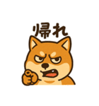 WILD柴犬の毎日使えるネガティブスタンプ（個別スタンプ：11）