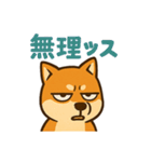 WILD柴犬の毎日使えるネガティブスタンプ（個別スタンプ：13）