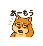 WILD柴犬の毎日使えるネガティブスタンプ（個別スタンプ：14）