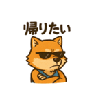 WILD柴犬の毎日使えるネガティブスタンプ（個別スタンプ：19）
