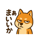 WILD柴犬の毎日使えるネガティブスタンプ（個別スタンプ：22）