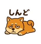 WILD柴犬の毎日使えるネガティブスタンプ（個別スタンプ：29）