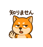WILD柴犬の毎日使えるネガティブスタンプ（個別スタンプ：36）