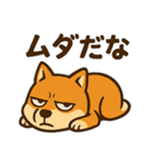 WILD柴犬の毎日使えるネガティブスタンプ（個別スタンプ：37）