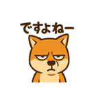 WILD柴犬の毎日使えるネガティブスタンプ（個別スタンプ：40）