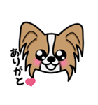 ずっと使えるワンコスタンプ♪パピヨン犬（個別スタンプ：2）
