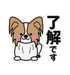 ずっと使えるワンコスタンプ♪パピヨン犬（個別スタンプ：3）