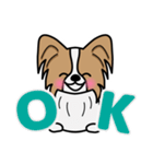 ずっと使えるワンコスタンプ♪パピヨン犬（個別スタンプ：4）