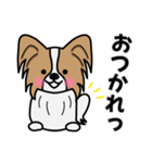ずっと使えるワンコスタンプ♪パピヨン犬（個別スタンプ：6）