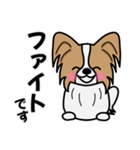 ずっと使えるワンコスタンプ♪パピヨン犬（個別スタンプ：7）