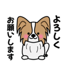 ずっと使えるワンコスタンプ♪パピヨン犬（個別スタンプ：18）