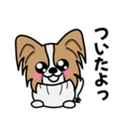 ずっと使えるワンコスタンプ♪パピヨン犬（個別スタンプ：22）