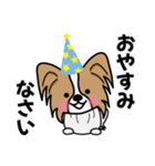 ずっと使えるワンコスタンプ♪パピヨン犬（個別スタンプ：28）