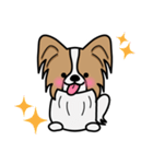 ずっと使えるワンコスタンプ♪パピヨン犬（個別スタンプ：33）