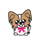 ずっと使えるワンコスタンプ♪パピヨン犬（個別スタンプ：35）
