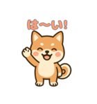 ゆるっとかわいい柴犬スタンプ（個別スタンプ：8）