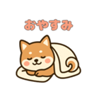 ゆるっとかわいい柴犬スタンプ（個別スタンプ：12）