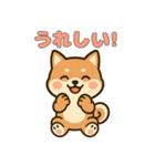 ゆるっとかわいい柴犬スタンプ（個別スタンプ：14）