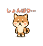 ゆるっとかわいい柴犬スタンプ（個別スタンプ：16）