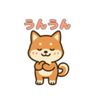 ゆるっとかわいい柴犬スタンプ（個別スタンプ：17）