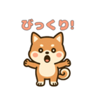 ゆるっとかわいい柴犬スタンプ（個別スタンプ：18）