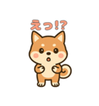 ゆるっとかわいい柴犬スタンプ（個別スタンプ：19）