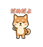 ゆるっとかわいい柴犬スタンプ（個別スタンプ：22）