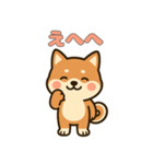 ゆるっとかわいい柴犬スタンプ（個別スタンプ：25）
