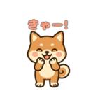 ゆるっとかわいい柴犬スタンプ（個別スタンプ：27）