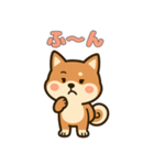 ゆるっとかわいい柴犬スタンプ（個別スタンプ：35）