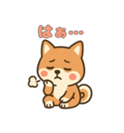 ゆるっとかわいい柴犬スタンプ（個別スタンプ：37）